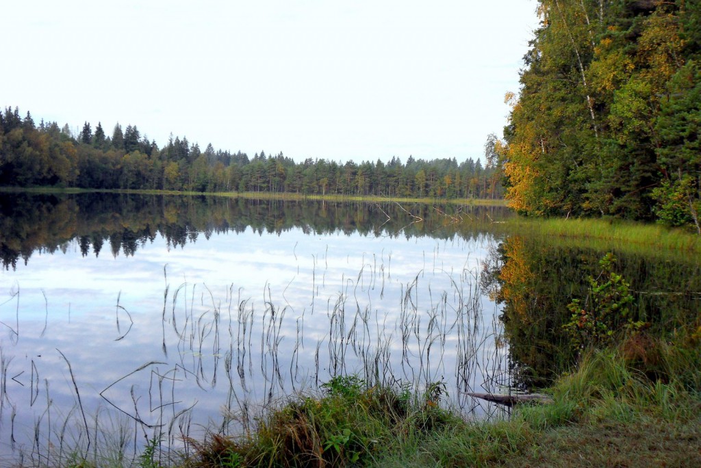 лачино
